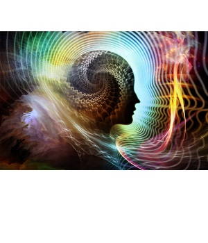 Протокол ПЕРЕПРОСМОТР