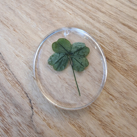 Клевер четырехлистник
