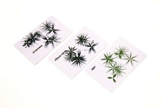 Комплект карт «Щит, остановка, обрыв связей» фото 1 — mindmachine.ru