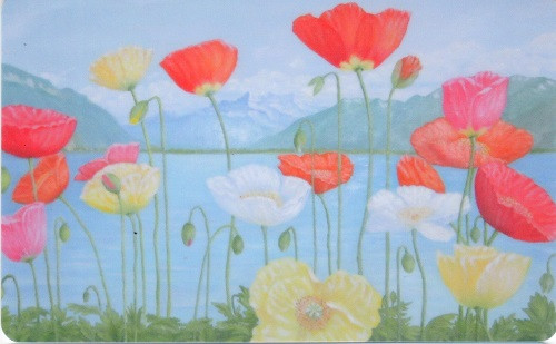 Карта 2.2ОС+ (обтекатель + стопмагия) фото 1 — mindmachine.ru