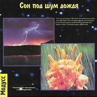 Аудиопрограмма &quot;Сон под шум дождя&quot; (электронная версия) — mindmachine.ru