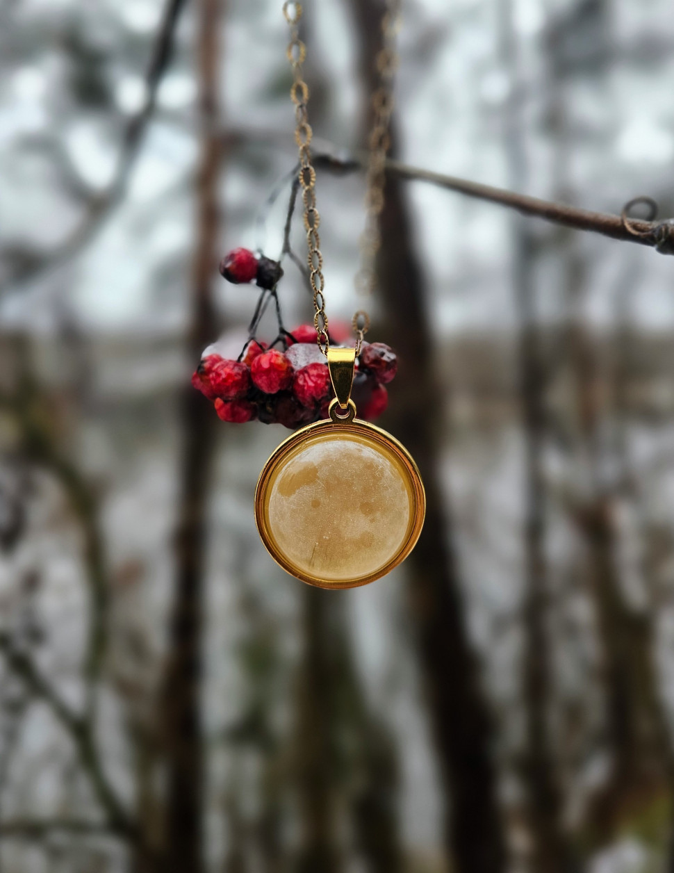 Чудо 1 фото 1 — mindmachine.ru