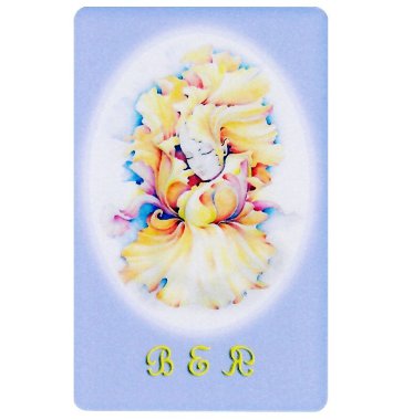 Svetlitsa VEY AU. Opening reserve resources — mindmachine.ru