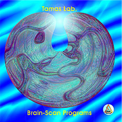 Электронная томограмма мозга (Brain Scan) — mindmachine.ru