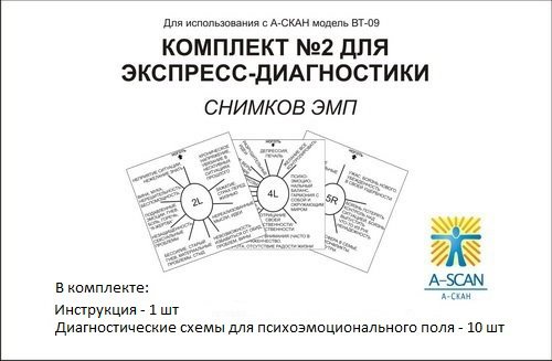 Комплект для экспресс-диагностики №2 (для A-СКАН) фото 1 — mindmachine.ru
