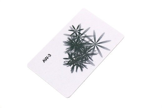 AW-3 «Дороги, транспорт, поездки, перемещения»  фото 1 — mindmachine.ru