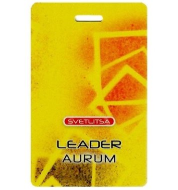 Светлица ЛИДЕР AU. Новые возможности лидерства  — mindmachine.ru