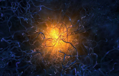 ЖитоМагРазумник ПРО — mindmachine.ru