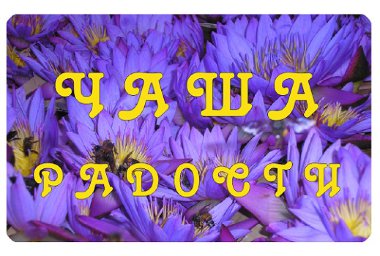 Светлица ЧАША РАДОСТИ 108. Уменьшение потребности в пище — mindmachine.ru