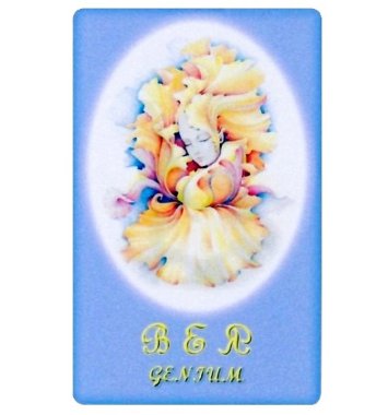 Svetlitsa VEY Genium. Opening reserve resources — mindmachine.ru