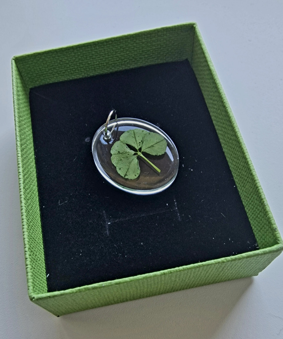 Клевер четырехлистник 3 см фото 1 — mindmachine.ru Клевер четырехлистник 3 см фото 1 — mindmachine.ru