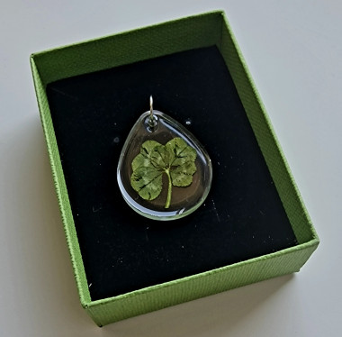 Клевер пятилистник — mindmachine.ru