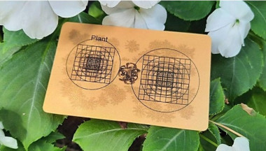 Карта &quot;Пандора Плант&quot;  — mindmachine.ru