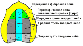 Классификация суппле картинки